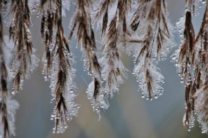 Рейтинг Журнального Зала за февраль 2021