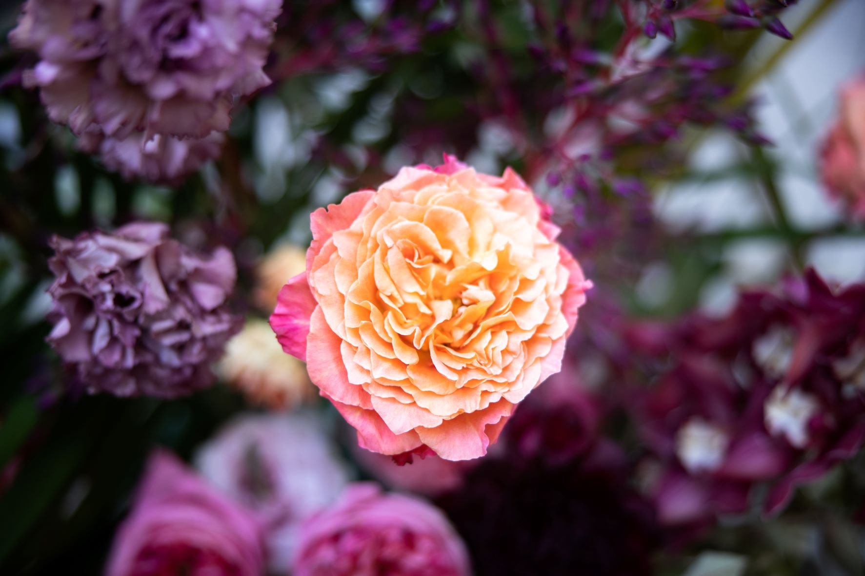 Рейтинг Журнального Зала за август 2022 — Журнальный зал